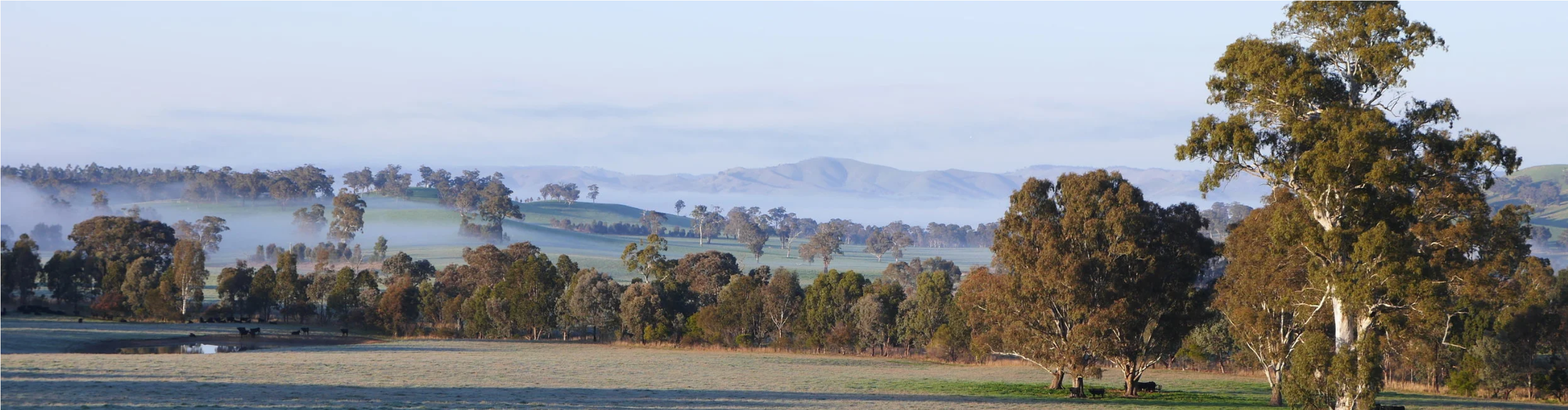 Larnoo landscape